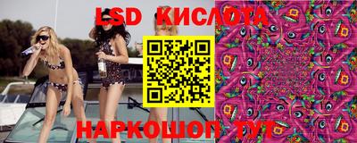 ПСИЛОЦИБИНОВЫЕ ГРИБЫ Берёзовский