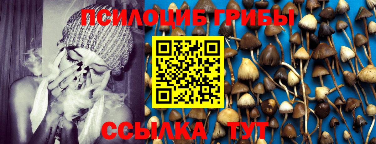 Галлюциногенные грибы мухоморы  Галлюциногенные грибы Psilocybe  Кингисепп  купить  сайты  Вход с VPN 